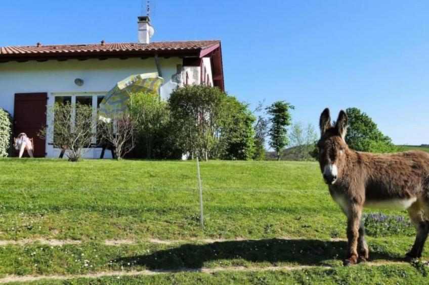 MONDARRAIN - foto 14