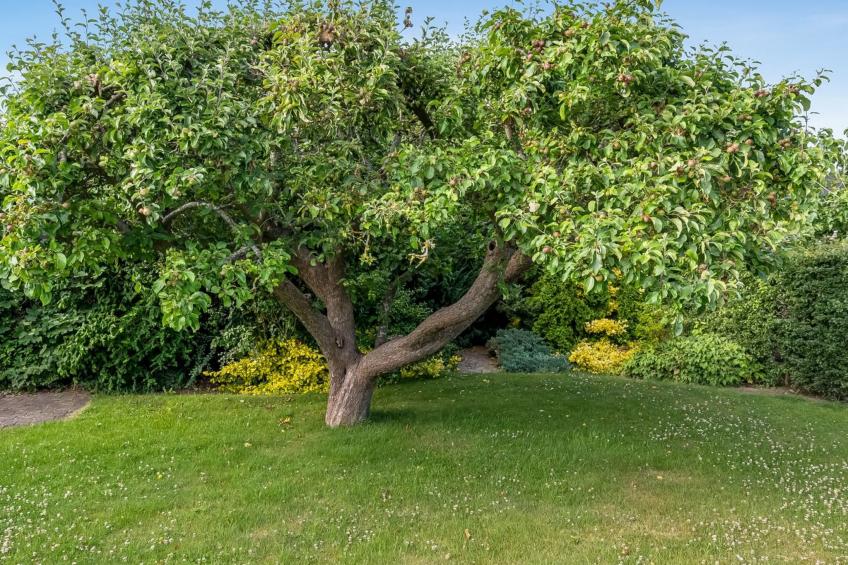 "Sampsa" - 75m from the sea - foto 15