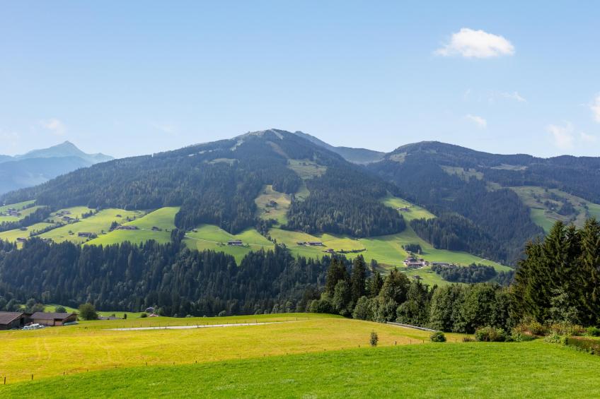 Haus Fernwald Top Tim und Nynke - foto 32