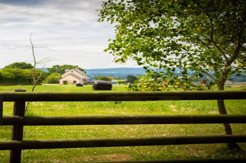 High Cloud Farm & Barn - foto 30