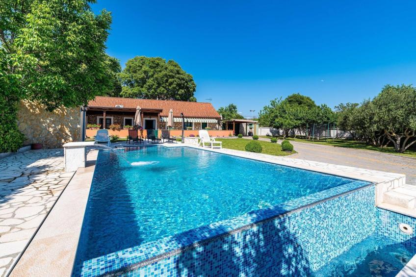 Momo´s Paradise - foto 21