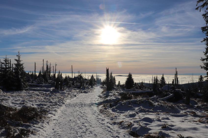 Ferienhaus Mühlberg (SPG101) - foto 29