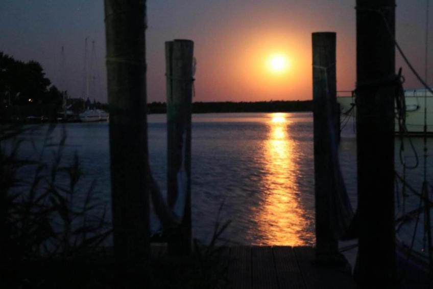 De Scholekster - foto 24