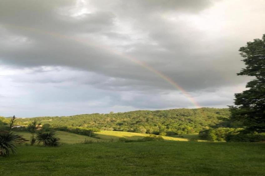 Castello di Robella - foto 33