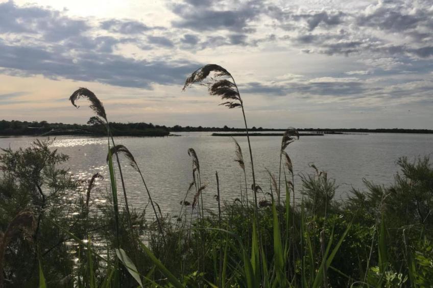 Les Rives Marines - foto 39