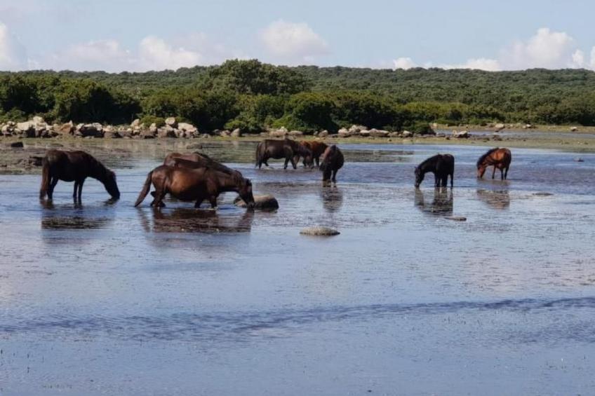 mit Wasserblick - foto 68