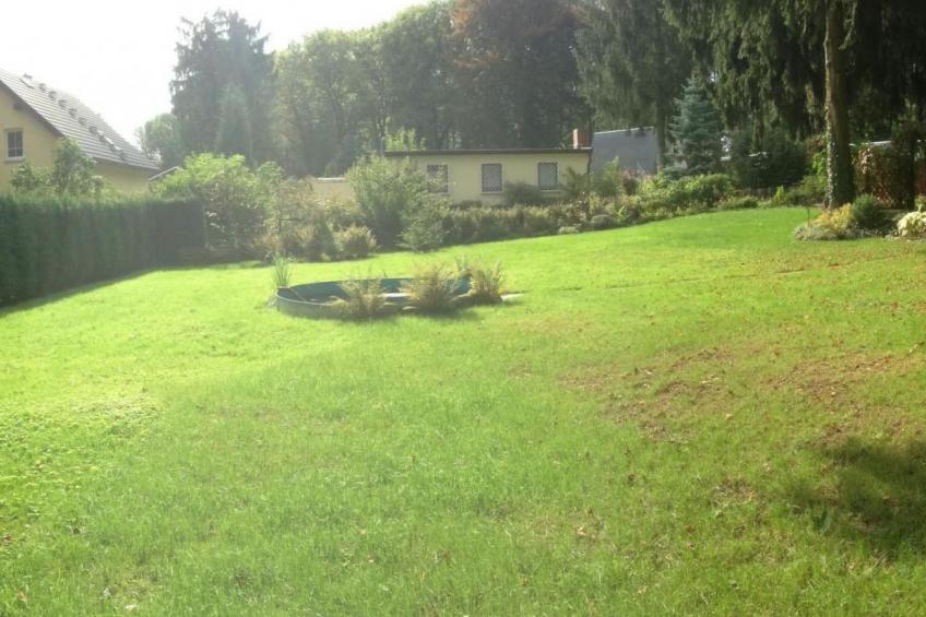 Waldhütte - foto 41