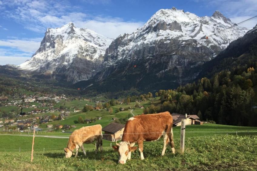 Chalet am Bühl - foto 45