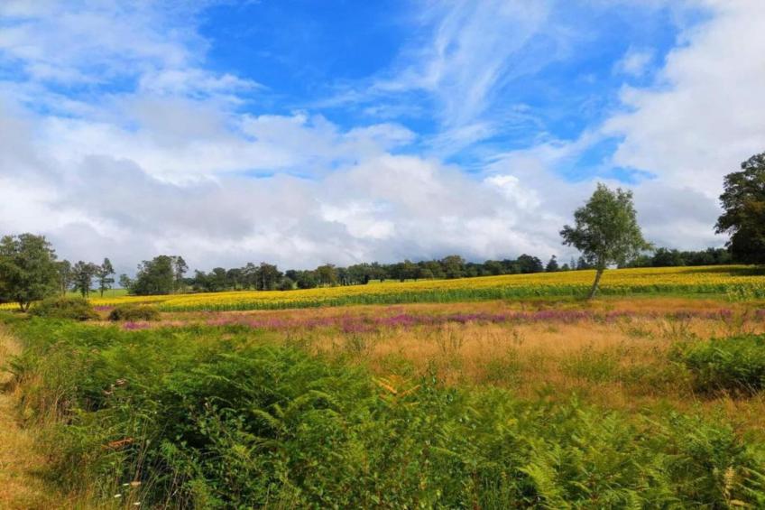 La Caleche - foto 40