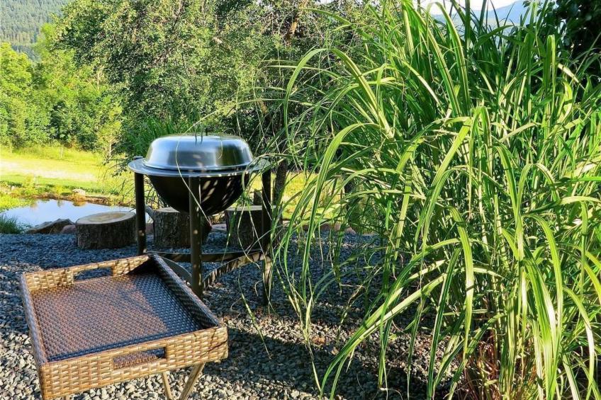 Villa "La Folie des Vosges" (Die Folie der Vogesen) - foto 7