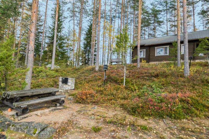 Mäntykumpu - foto 20