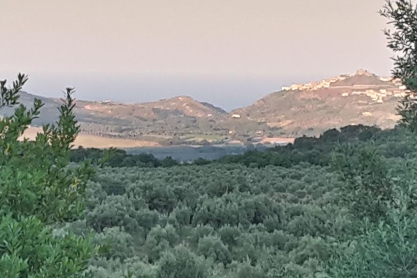 Arcobaleno - foto 15