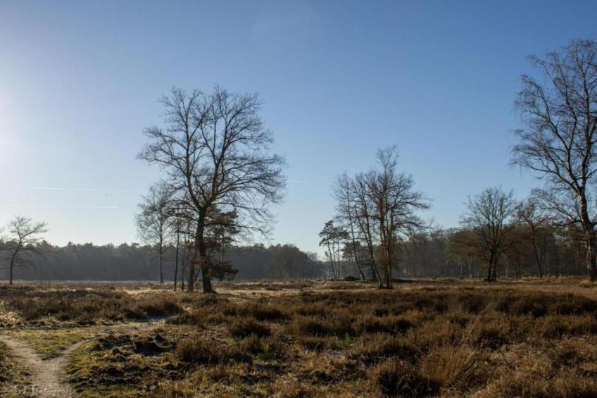 Modern Limmen - foto 26