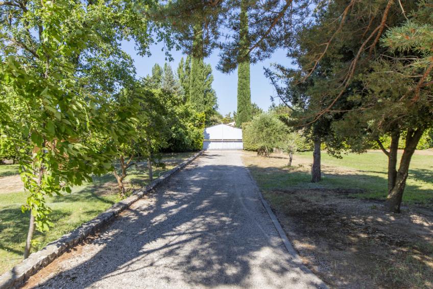 A l'Ombre du Soleil - foto 14