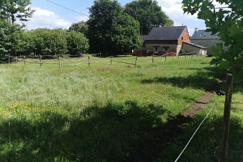 Pleine Nature in der Bretagne - foto 26