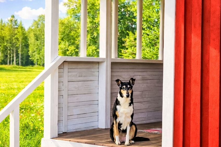 Gemütliches Ferienhaus Angermanland - höga Kusten - foto 3