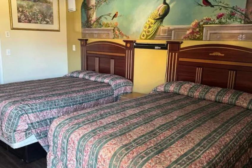 2 Queen Beds Non-Smoking - foto 15