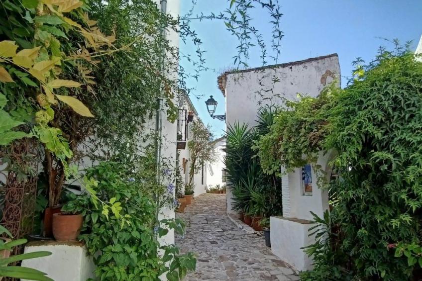 "Castillo Castellar - foto 21