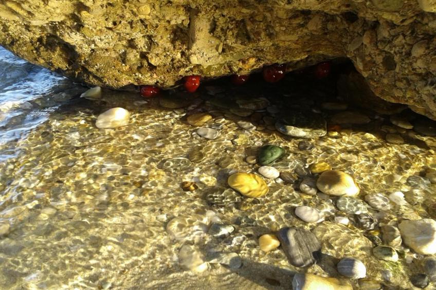 Villa Chris - foto 44