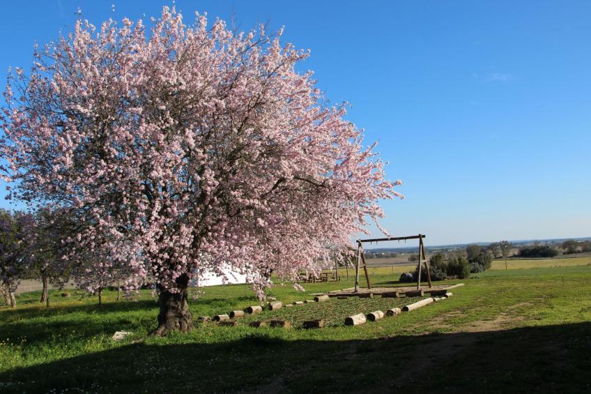 Ländlicher Tourismus - foto 16
