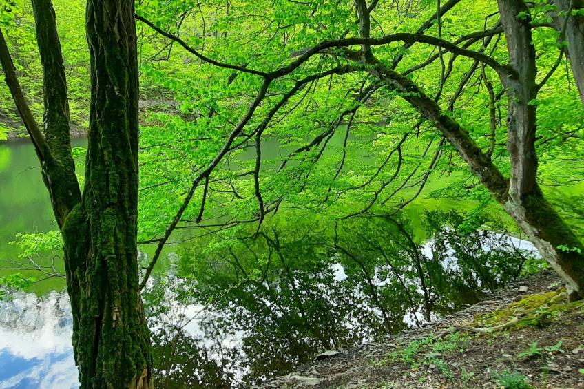 Gartenblick in Vöhl-Basdorf - foto 16