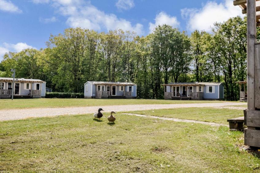 Mobile homes til 6 pers., med bad - foto 12