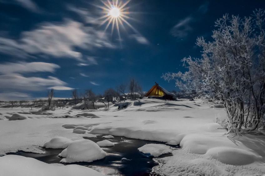 Haltinsaana - foto 33