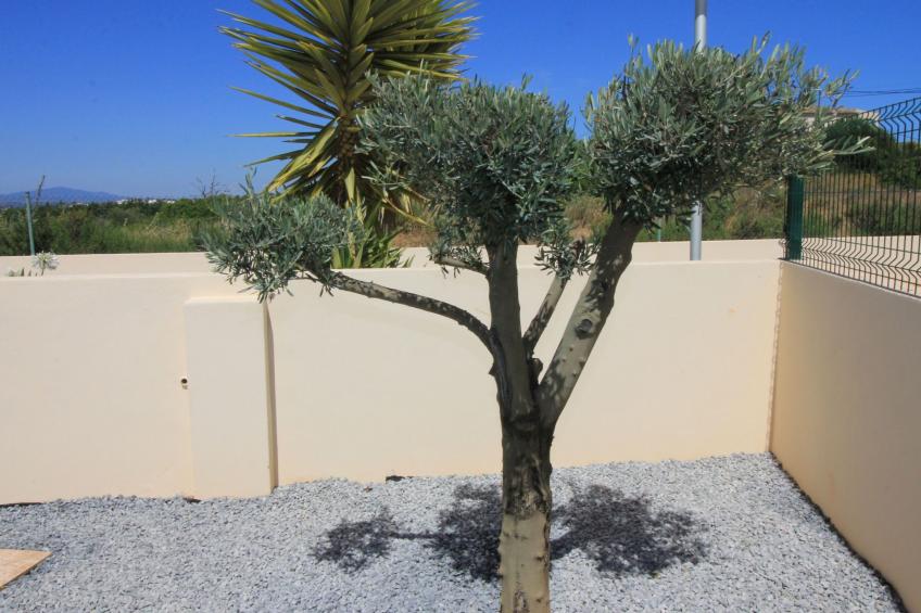 Vila Marques da Luz - foto 7