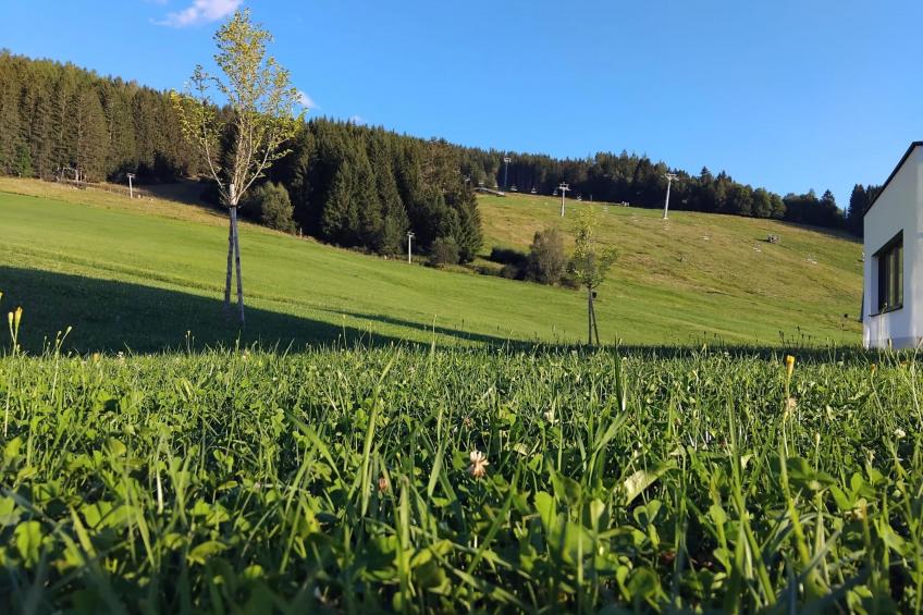 Winzerchalet - foto 23