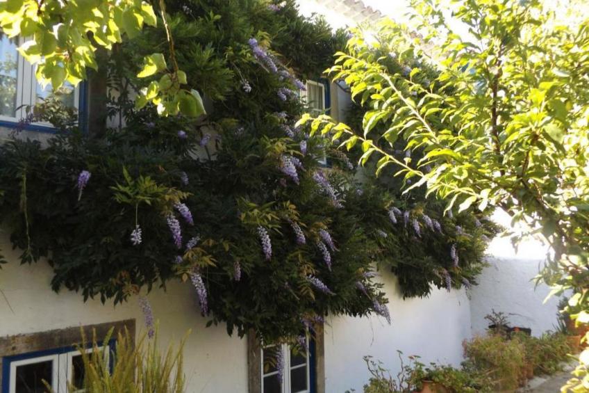 Historisches Haus in der Nähe des historischen Dorfes von Óbidos - foto 36