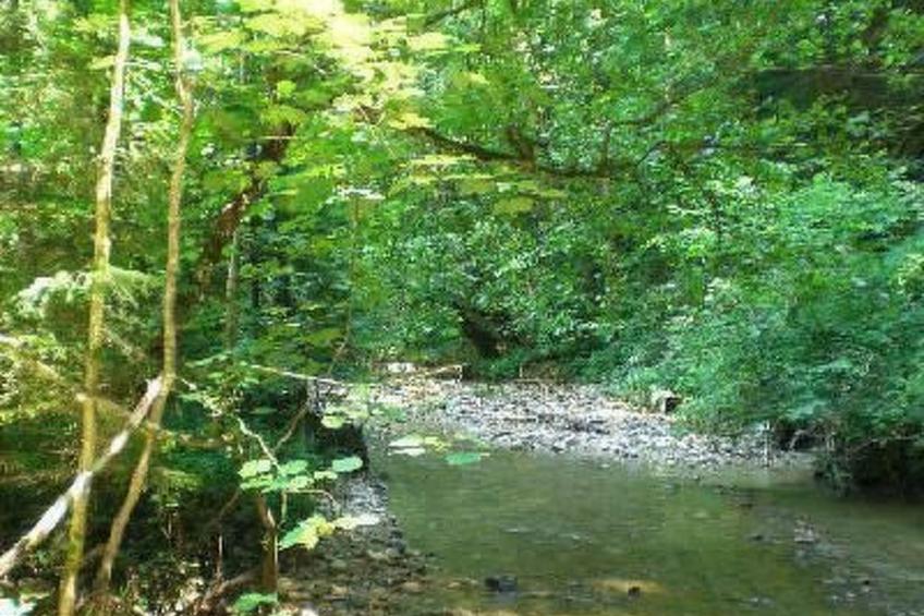 Das Blaue Haus in Hohenweiler - foto 10