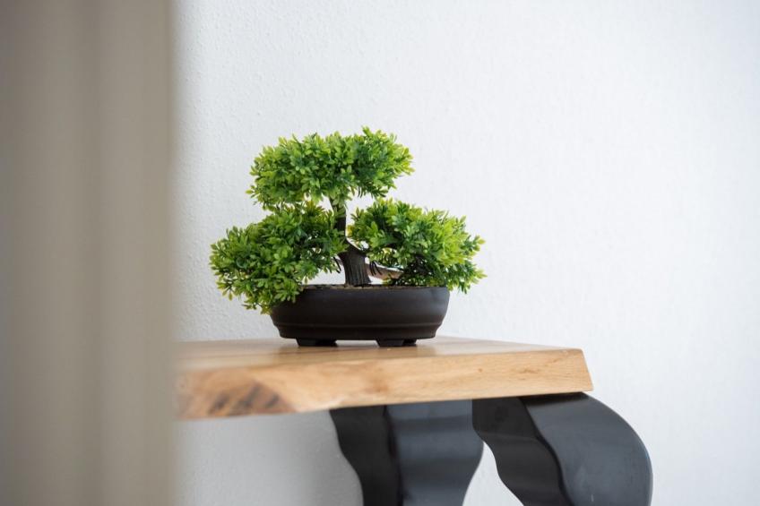 Moderne Ferienwohnung Zen 2 - foto 12