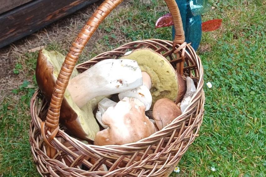 Pension Marianska - foto 12