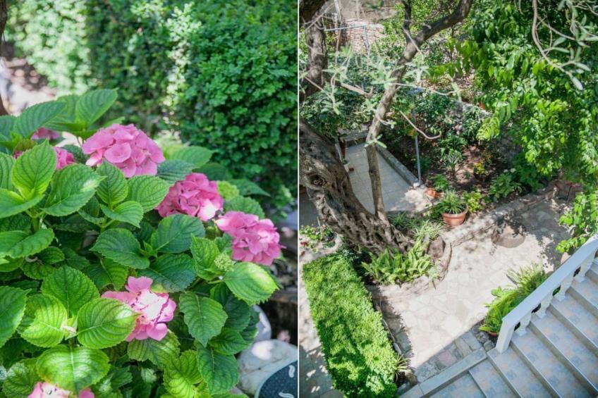 Petrovac Serenity Stay Near the Beach - Standard Double Room 2 - foto 17