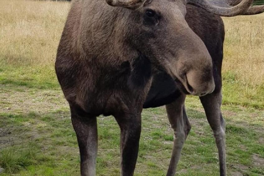 Haus Gård Solhag - foto 28