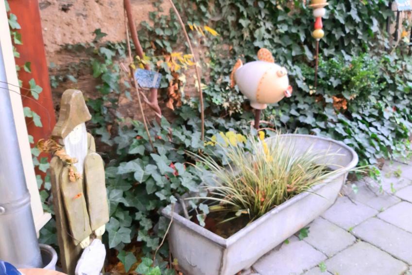 Wellness-Chalet - foto 42