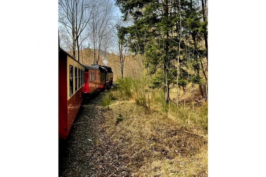 41863 - foto 16
