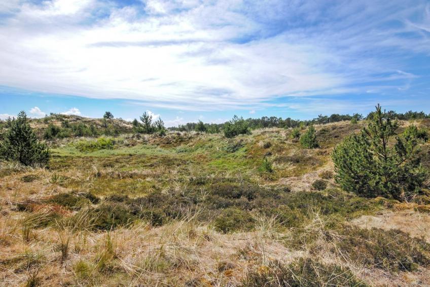 "Eroll" - 1.8km from the sea in NW Jutland - foto 3