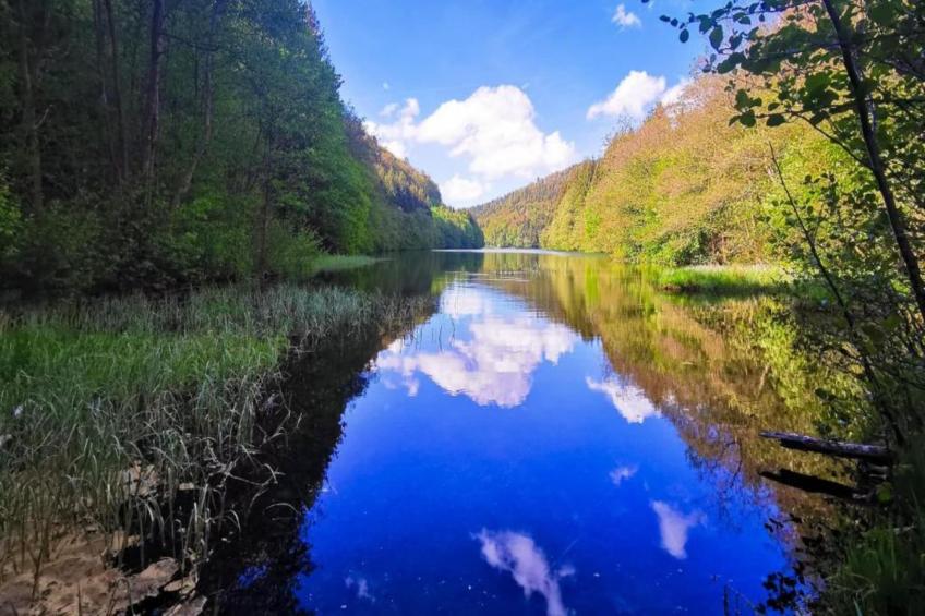 Thüringer Wald - foto 38