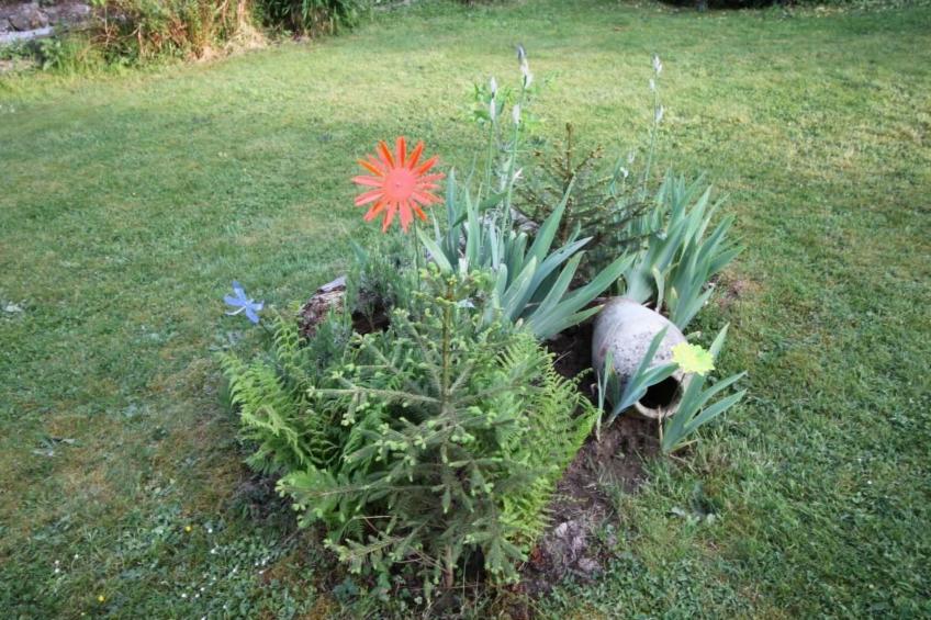 in Oberlahr mit Großem Garten - foto 16