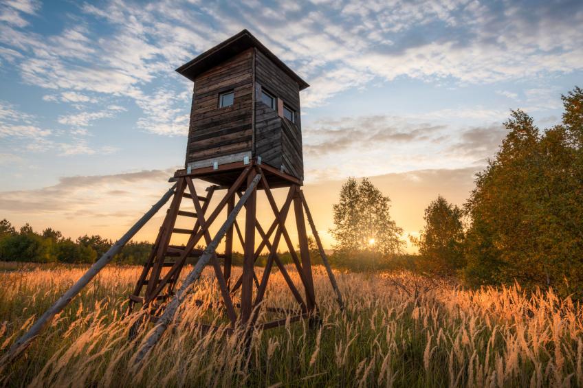 Istrien Traditionelles Steinhaus 1 - foto 66
