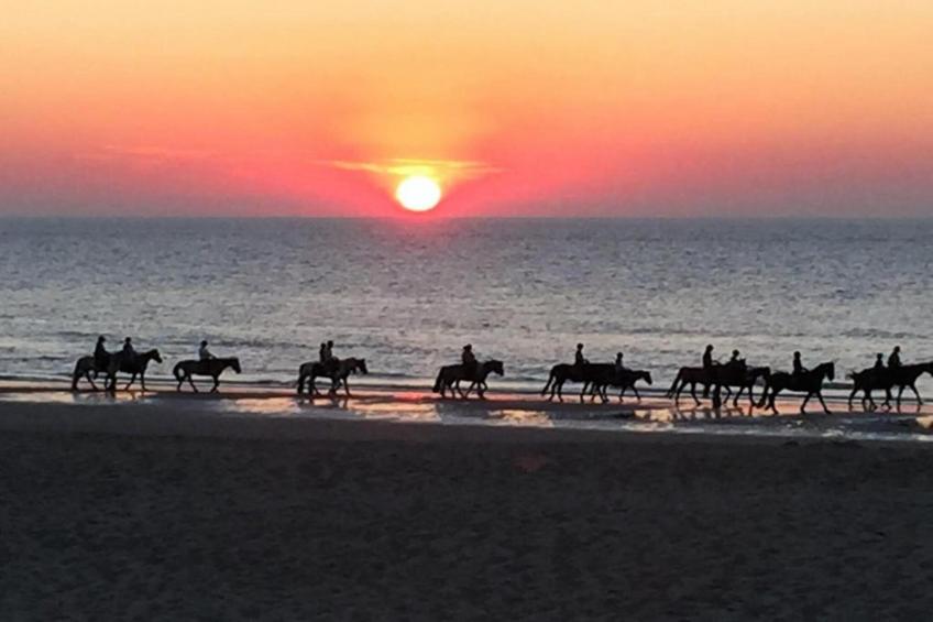 Château la Tuilerie 0701 - foto 33