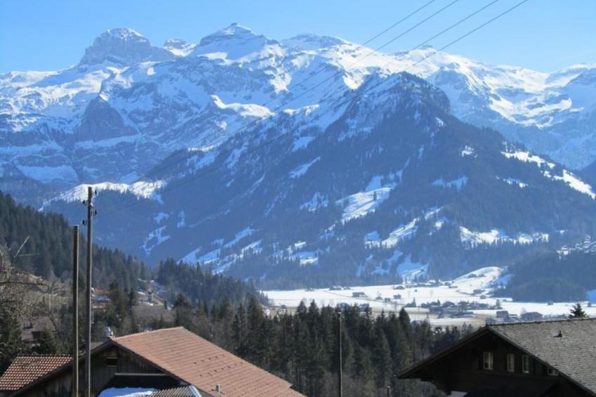 Chalet Pletschen - foto 2