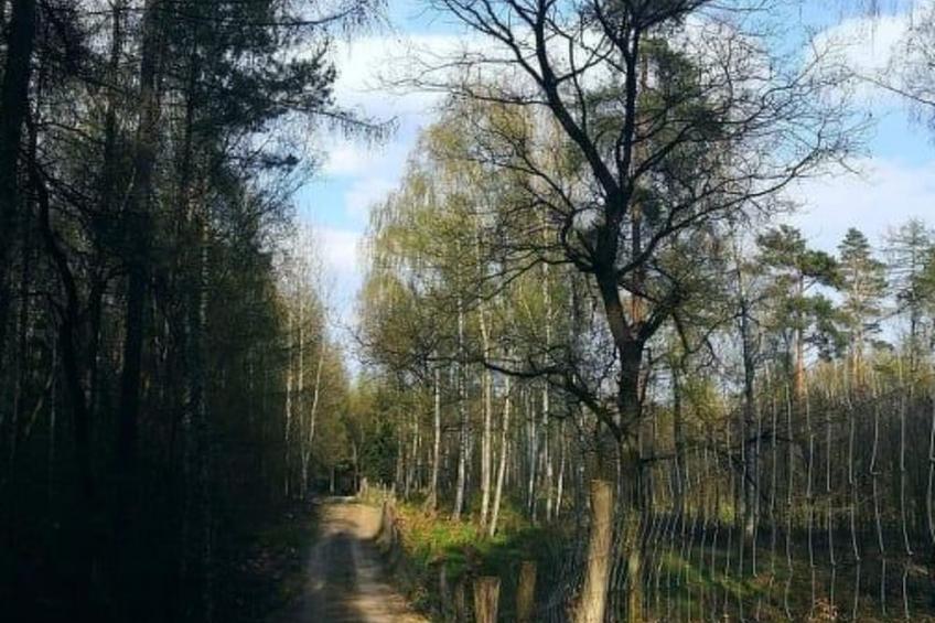 "Ferienhaus GolczaVita" - foto 36