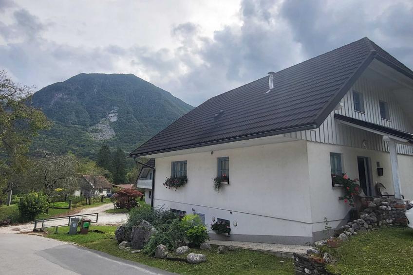 Bovec Comfortable Apartment with Mountain View - One Bedroom Apartment with Mountain View - foto 18
