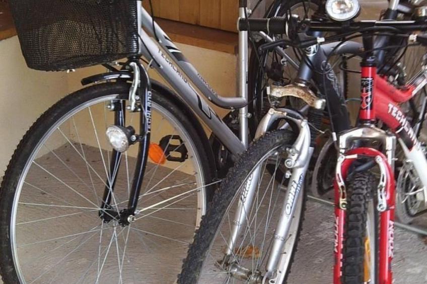 La Bergerie du Festel - foto 11