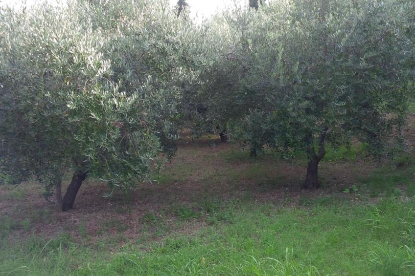 Appartement mit Balkon - foto 7