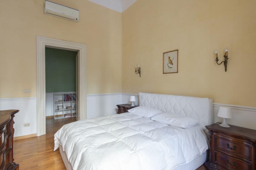 Plinio - foto 22