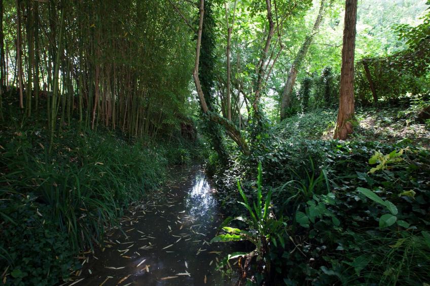 "Gite de Guillemat" - foto 22