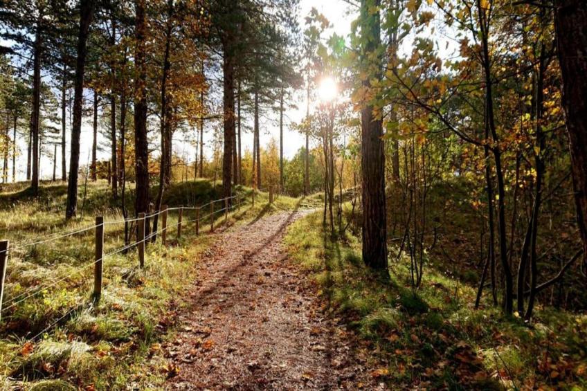 Oosterpark 76 - Oostkapelle - foto 28